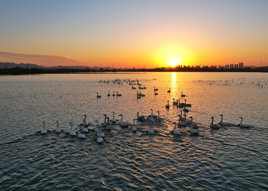 Žɣ^|ȵĺB_ʼw܊ z  