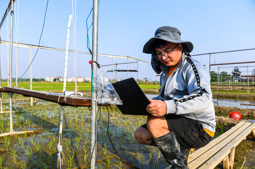 TʿоZgcڌpa͜ҚwŷӰ푵оz