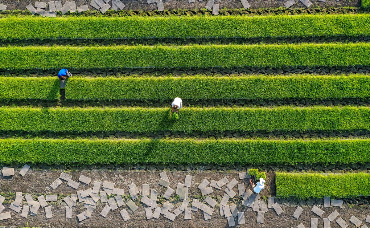 雙搶?！懊状?><span><em>雙搶?！懊状?/em><i></i></span></li></ul>
    </div>
  </div>
</div>
<div class=