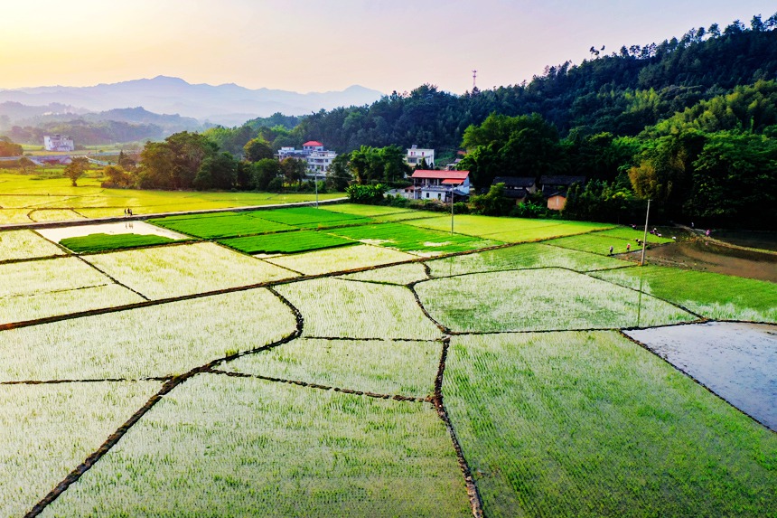 航拍鏡頭下的江西省贛州市全南縣陂頭鎮正河村。李凡欽攝