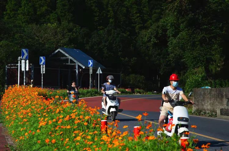 鮮花扮靚南昌灣里深山處的鄉村。  灣里管理局 供圖