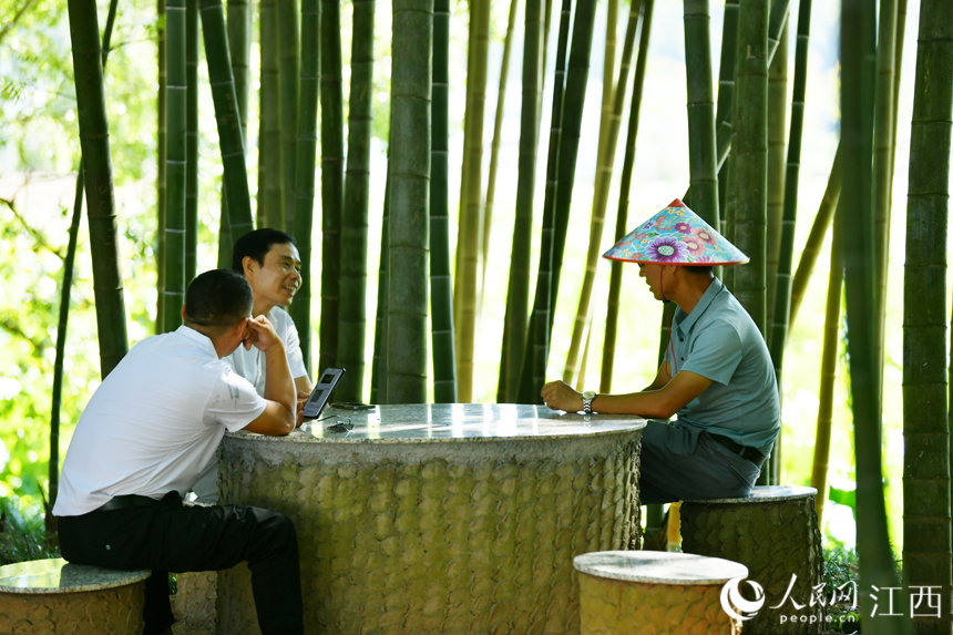 游客們坐在蓮池畔的竹林下納涼聊天。 人民網 時雨攝