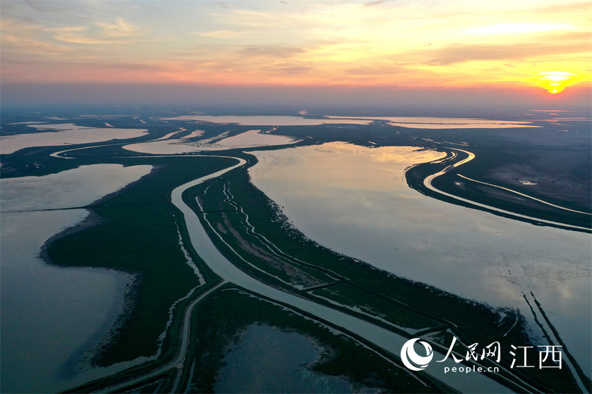 中國最大的淡水湖鄱陽湖水位快速下降，提前進入枯水期。 人民網 時雨攝