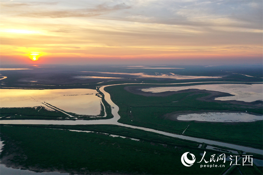 中國最大的淡水湖鄱陽湖水位快速下降，提前進入枯水期。 人民網 時雨攝