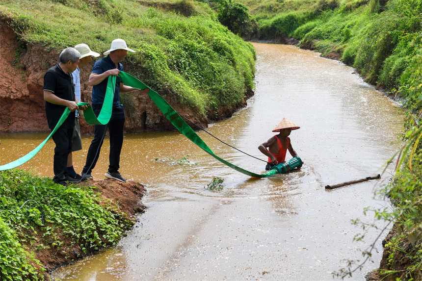 仰山村干部群眾將水泵放入肖江支流之中，抽取江水進入灌區渠道內用于澆灌干裂的稻田。周亮攝