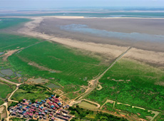 鄱陽湖草原景觀顯現
