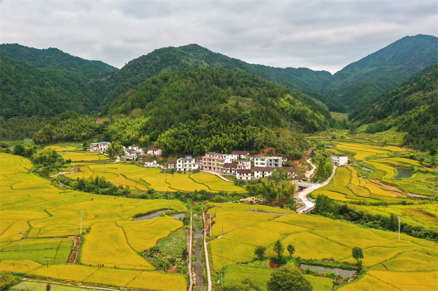 在樂安縣金竹畬族鄉半坪村，鄉村美景映入眼簾。黃煜攝