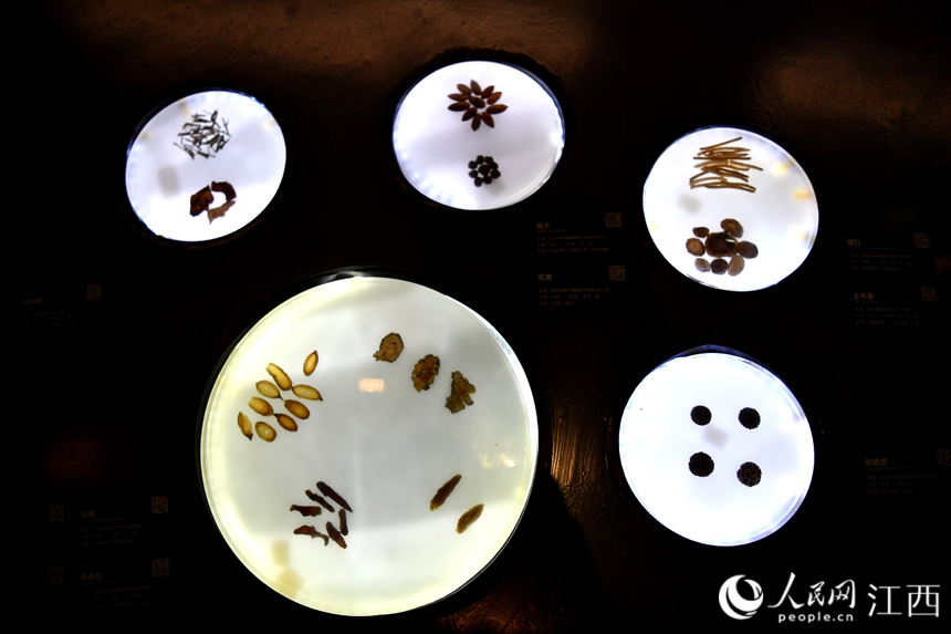中醫藥博物館內展出的各類中藥材標本。 人民網 時雨攝