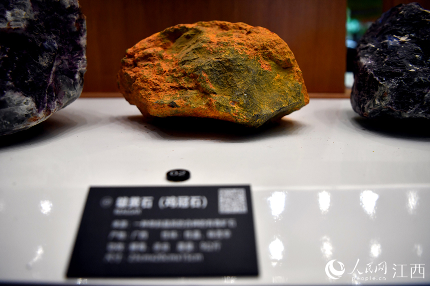 中醫藥博物館內展出的各類中藥材標本。 人民網 時雨攝