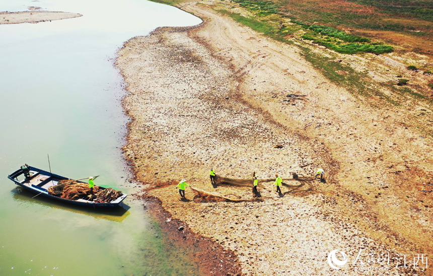 漁政工作人員和志愿者在鄱陽湖清理廢棄的漁具。 人民網 時雨攝