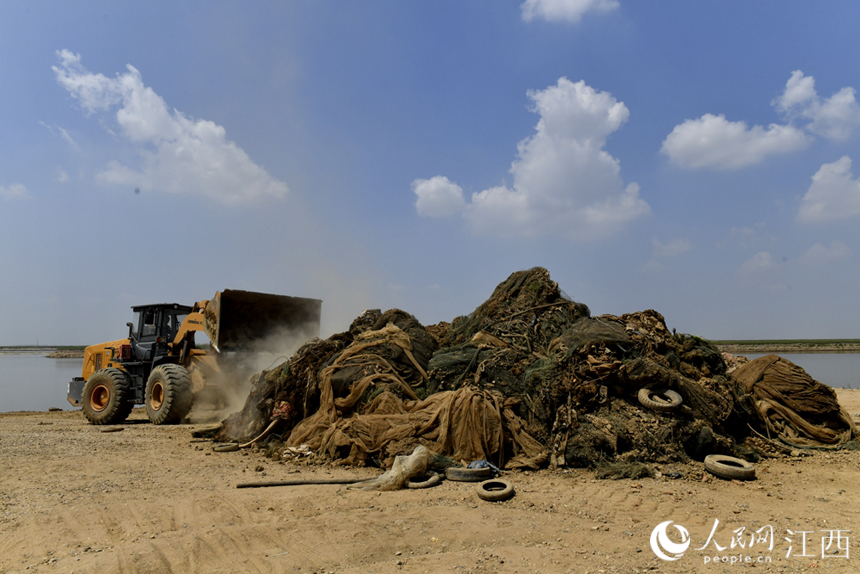 挖掘機將湖內成堆的廢棄漁具挖出。 人民網 時雨攝