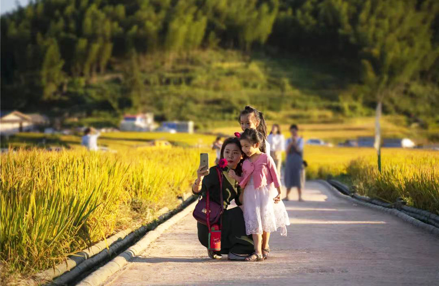 游客們穿行其間，拍照打卡，盡享田園之樂。嚴毅君攝