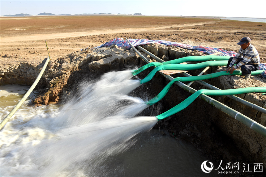 鄱陽湖主航道的湖水正通過引水渠源源不斷流向碟形湖。 人民網 時雨攝