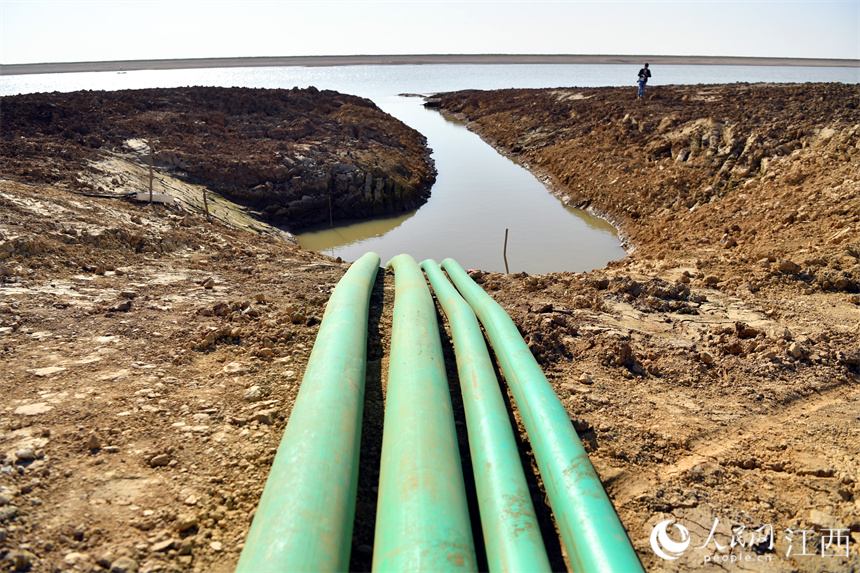 鄱陽湖主航道的湖水正通過引水渠源源不斷流向碟形湖。 人民網 時雨攝