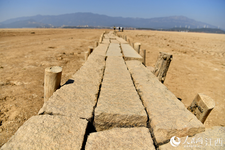 鄱陽湖水位持續走低，湖底的千眼古橋露出真容。 人民網 時雨攝