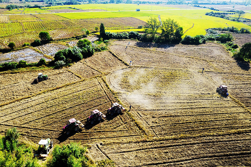 農戶駕駛著旋耕機在田里進行翻耕作業。吳志貴攝
