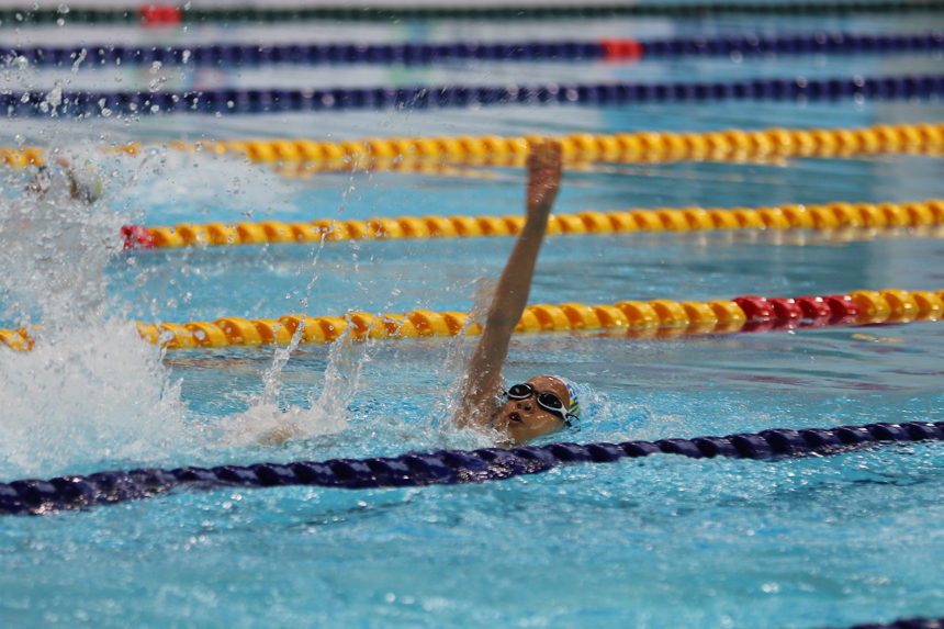 江西省第十六屆運動會青少年部（青少年組）游泳比賽開賽。鄭飛華攝