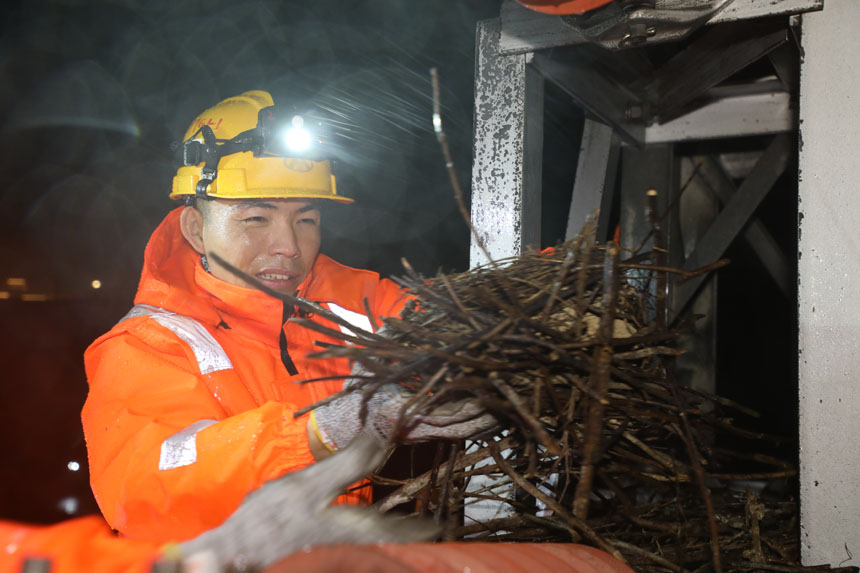 平潭供電工區工長胡朋在給海鳥“搬家” 。李金明攝