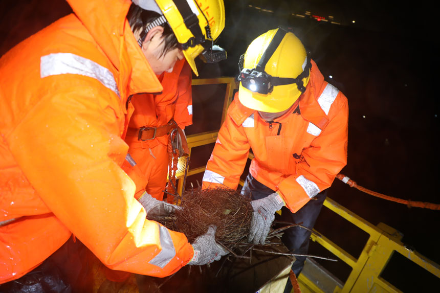 3.從接觸網支柱上拿下來的鳥窩（攝影：李金明）