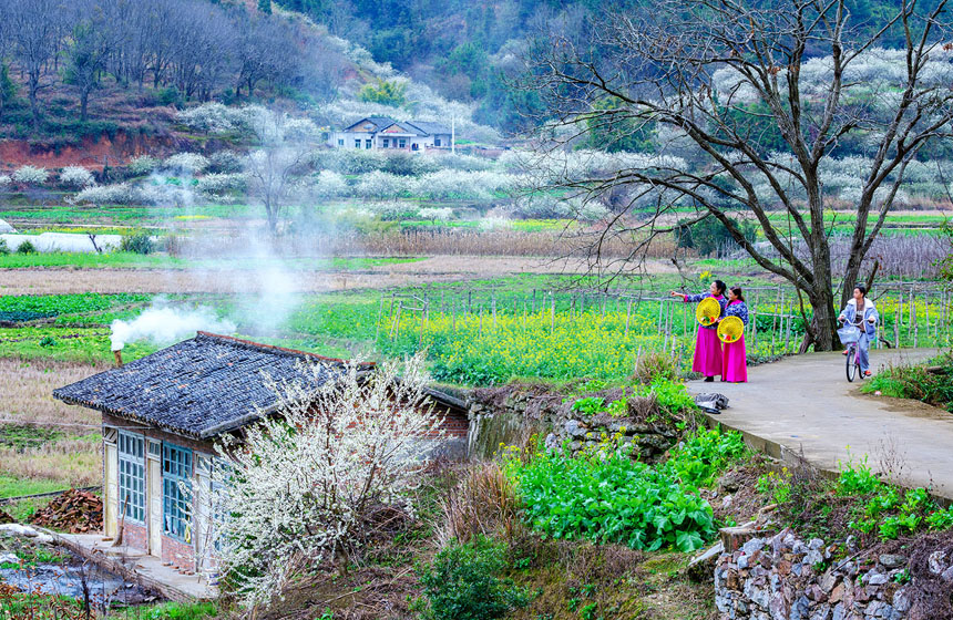 江西省龍南市南亨鄉西村村美麗的田園風光。廖彩新攝