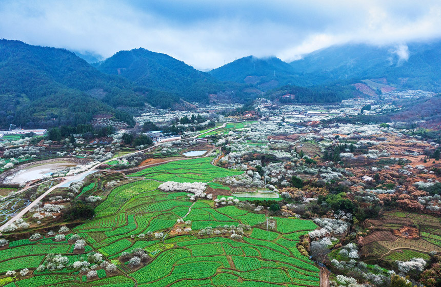 江西省龍南市南亨鄉西村村美麗的田園風光。廖彩新攝