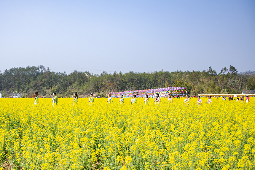 游人賞花觀景，盡享美好春光。詹繼成攝