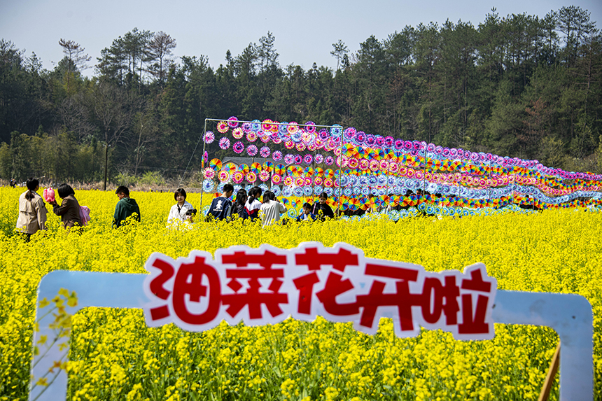 游人賞花觀景，盡享美好春光。詹繼成攝