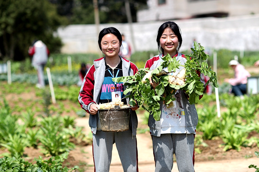同學們正在開展勞動實踐體驗活動。何江華攝