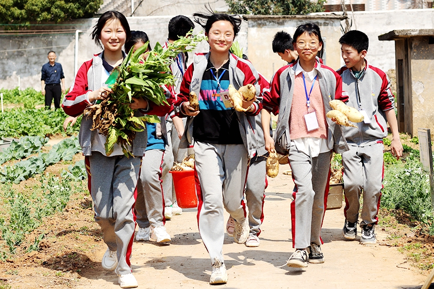 同學們正在開展勞動實踐體驗活動。何江華攝