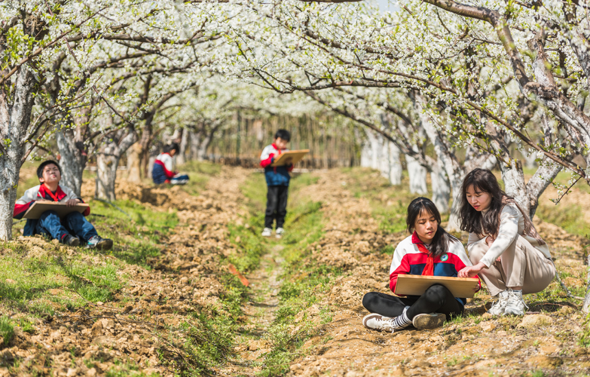 老師帶領學生們走出課堂，拿起畫筆，在梨花海中享受春光。簡俊攝