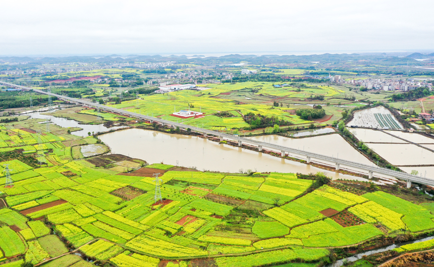 航拍鏡頭下，一條新建的昌景黃高鐵線從村莊穿過。鮑贛生攝