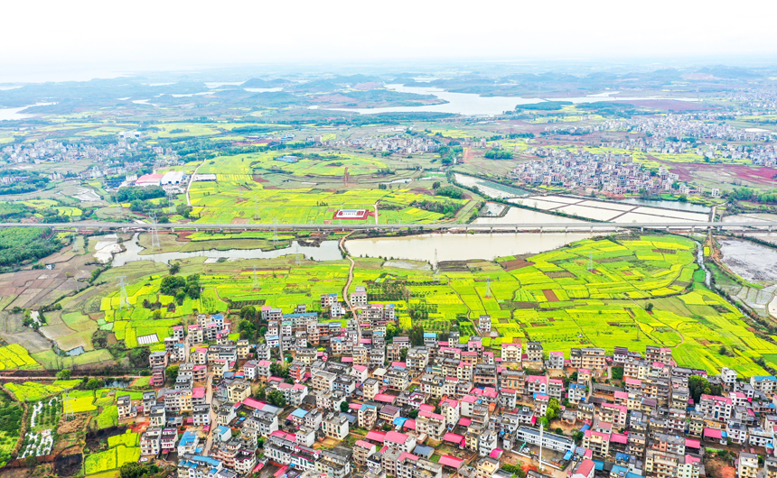 航拍鏡頭下，一條新建的昌景黃高鐵線從村莊穿過。鮑贛生攝