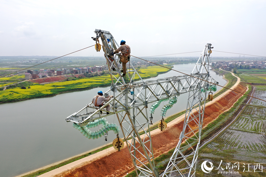 電網工作人員正在塔頂進行牽線作業。人民網 時雨攝