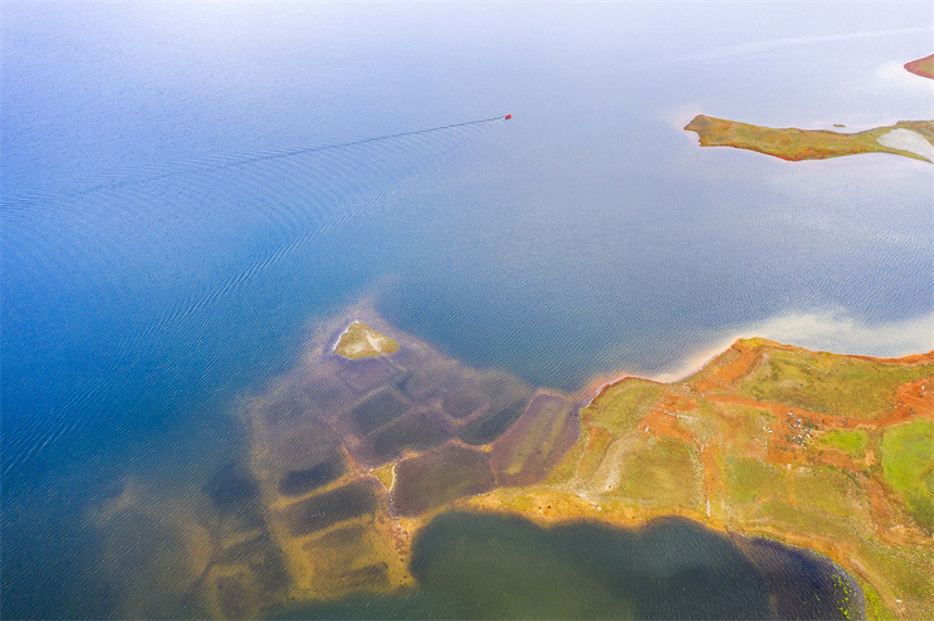 工作人員乘坐快艇在水面上巡查猶如船在畫中行。周亮攝