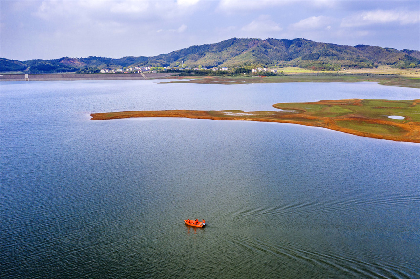 工作人員乘坐快艇在水面上巡查猶如船在畫中行。周亮攝