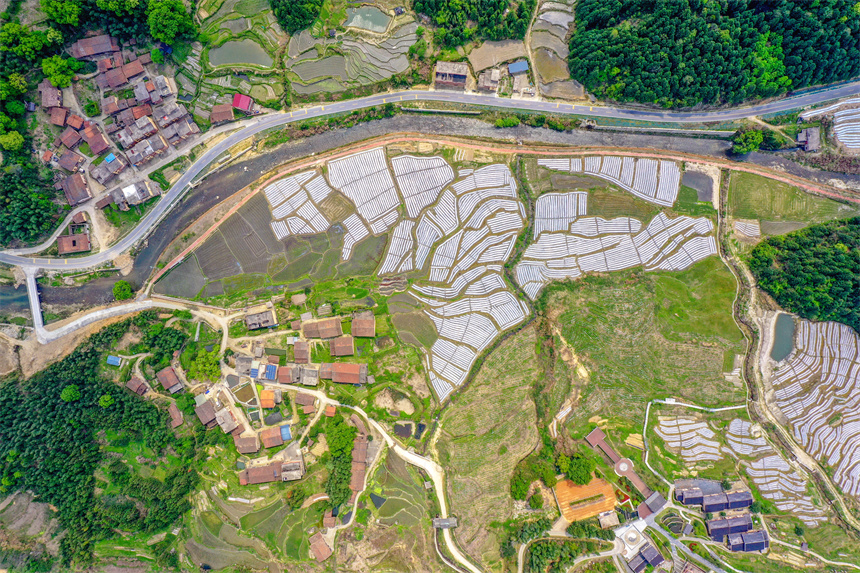 航拍樂安縣谷崗鄉何坑村，猶如一幅美麗的生態畫卷。黃煜攝