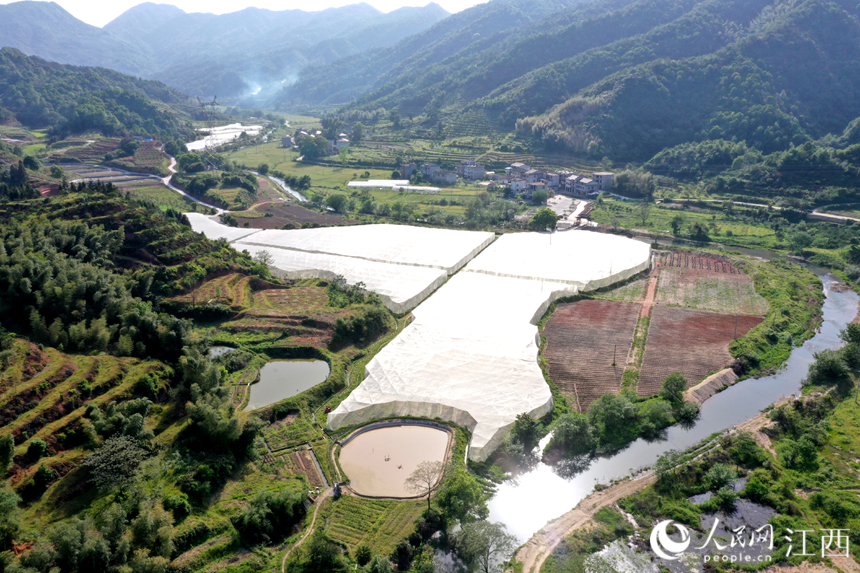 江西省南豐縣三溪鄉柏蒼村軍峰山下的田園綜合體風光優美。 人民網 時雨攝