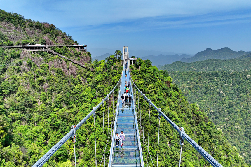 游客行走在玻璃橋上觀賞漫山綠色生態美景。朱海鵬攝