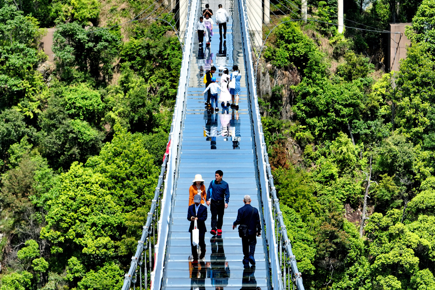 游客行走在玻璃橋上觀賞漫山綠色生態美景。朱海鵬攝
