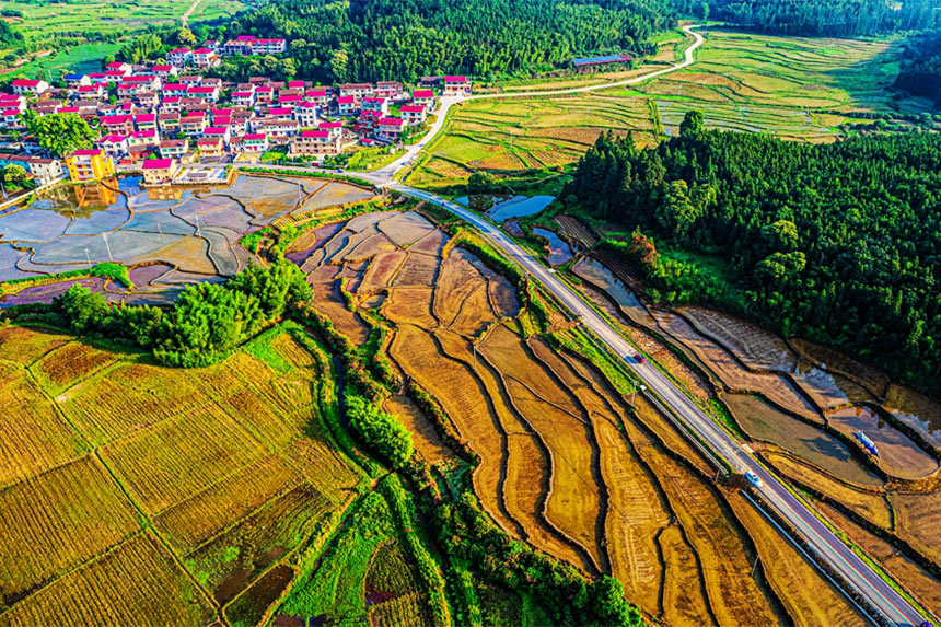 航拍下的江西省撫州市資溪縣烏石鎮茂林村一派生態秀美的山村畫卷。吳志貴攝