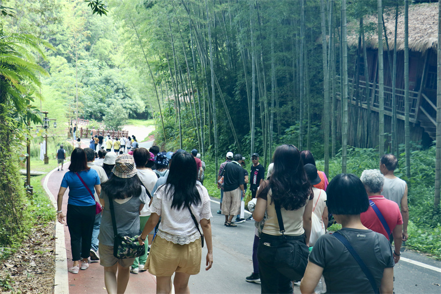 游客漫步在一片“綠意”中。人民網 李途遙攝