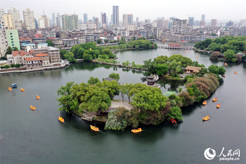 南昌市東湖區百花洲東湖正在舉行親子龍舟賽。 人民網記者 時雨攝
