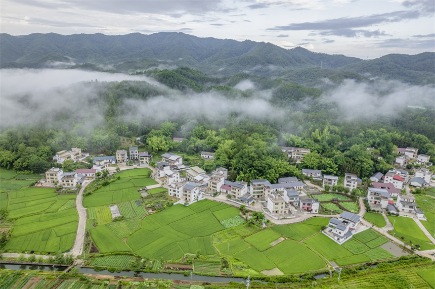 6月8日，航拍鏡頭下的江西省贛州市信豐縣大橋鎮大橋村。張元兵攝