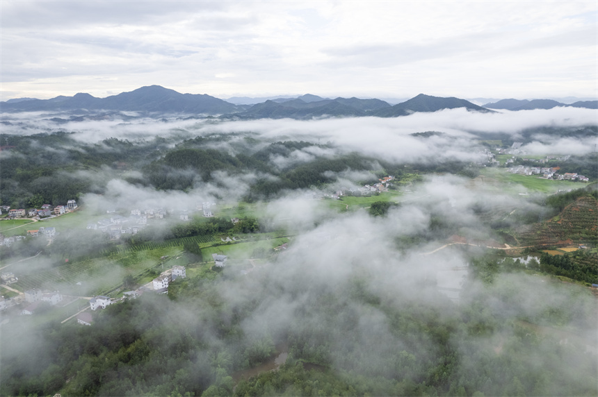 6月8日，江西省贛州市信豐縣大橋鎮悠悠云霧漫鄉野，層層疊疊的山峰美輪美奐。張元兵攝
