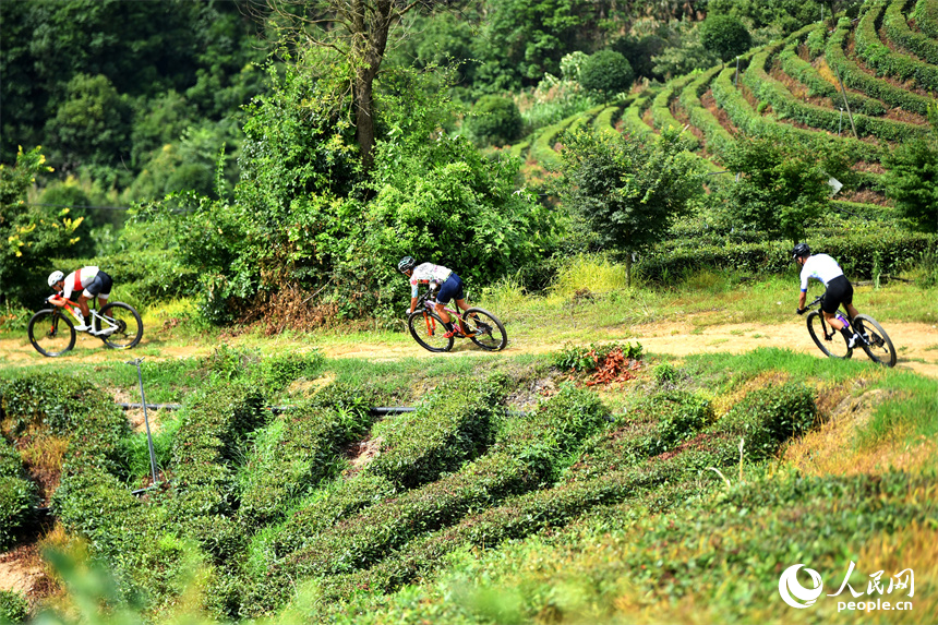 2023年6月18日，江西省宜春市，山地自行車選手在靖安縣仁首鎮 “茶立方”生態茶園里騎行。 人民網記者 時雨攝