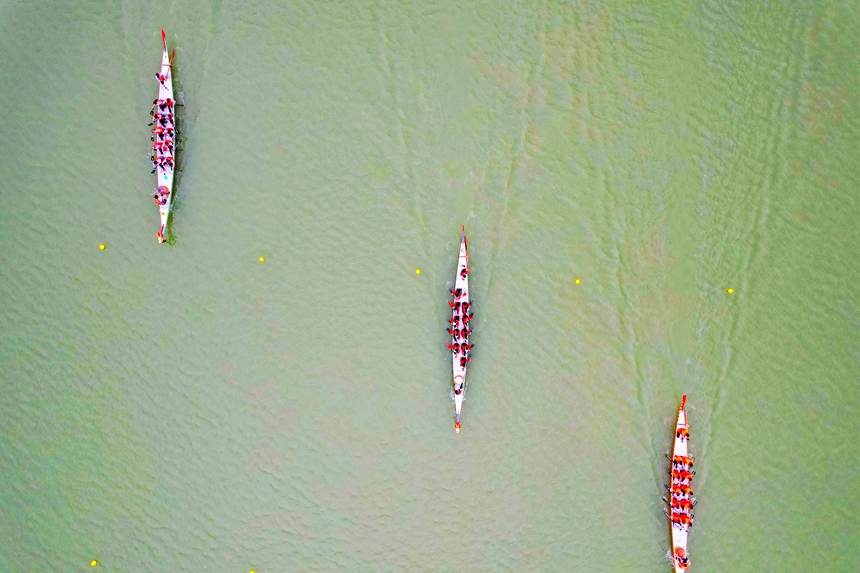 ?龍舟隊在水面競渡。宋燕燕攝?