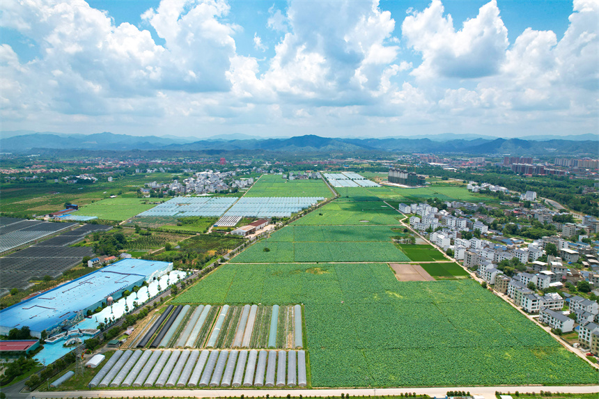 航拍葉坪鎮山歧村美麗鄉村景色。楊鑫攝