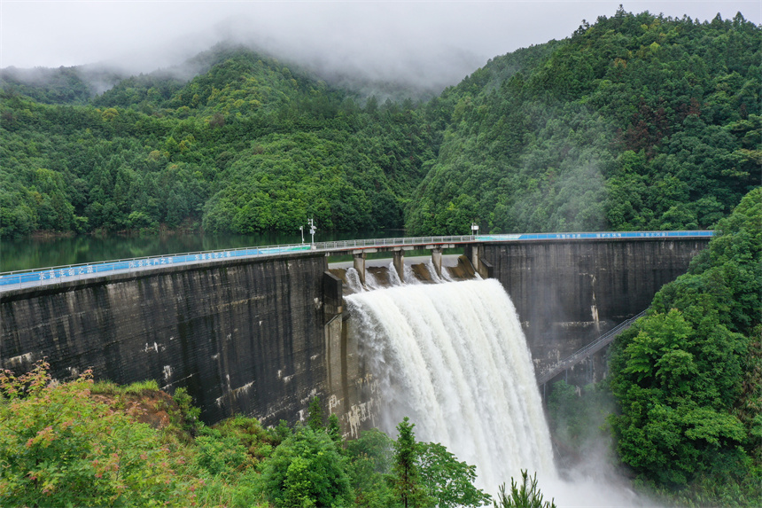 樂安縣龍潭水庫周邊的碳匯林郁郁蔥蔥。邱志超攝