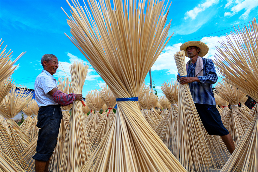工人正在晾曬毛竹半成品。詹繼成攝