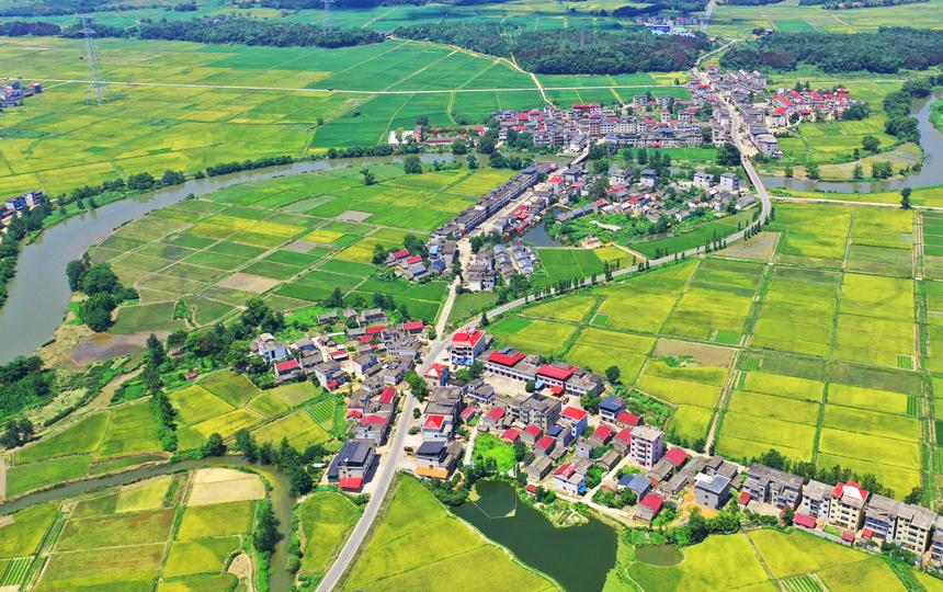 無人機鏡頭下的上高縣泗溪鎮官橋村美麗田園風光。陳旗海攝